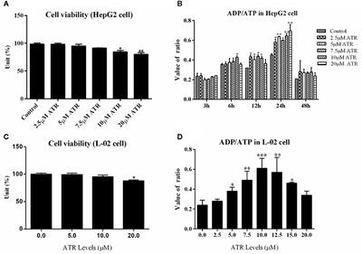Mitochondrial Energy-Regulating Effect of Atractyloside Inhibits Hepatocellular Steatosis Through the Activation of Autophagy